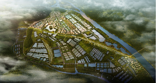 斗门区莲洲镇1.png