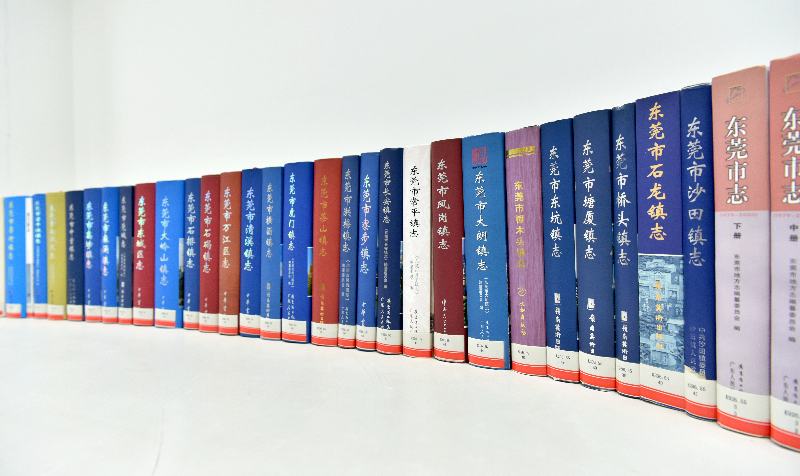 东莞市志（1979-2000）与镇街志.JPG