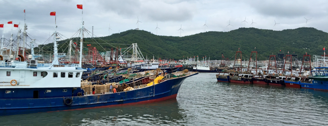 阳江闸坡渔港码头海鲜图片
