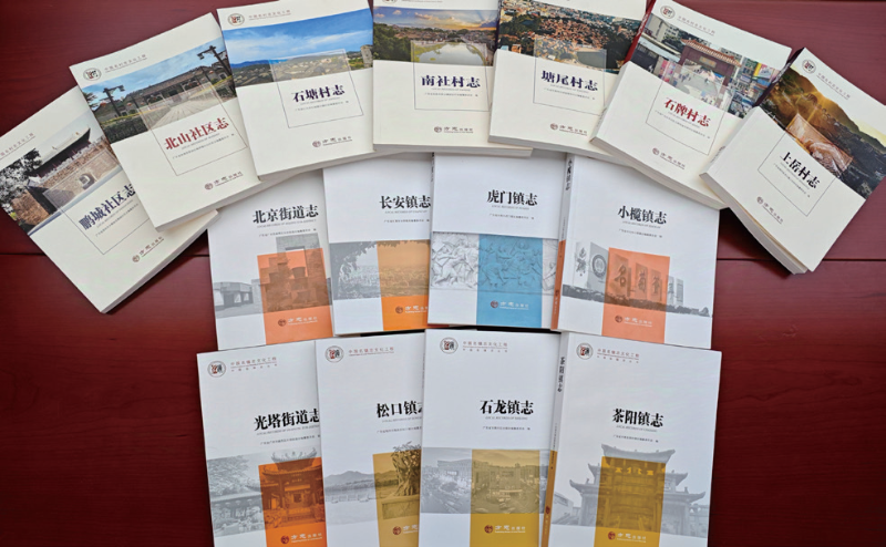 中国名镇志、名村志.png